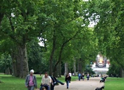 People walking in a park