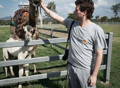 Young white man reaching over a white fence to scratch the chin of a camel with a little baby camel beside it
