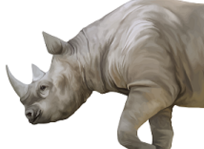 Front half of a side view of a rhino with a big horn