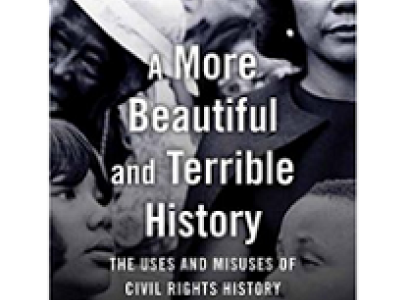 Book cover with black and white pictures of black men and women with words A More Beautiful and Terrible History