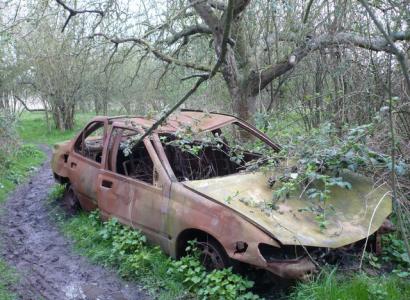 Wrecked car under a tree