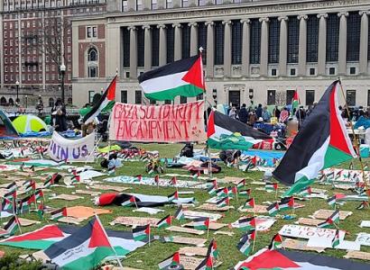 Palestinian flag and other signs on the lawn