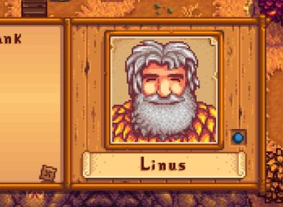 A man with a gray beard