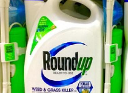 White bottle on a shelf with word Roundup on it