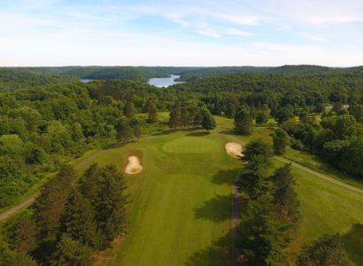 Green rolling grass field with some trees