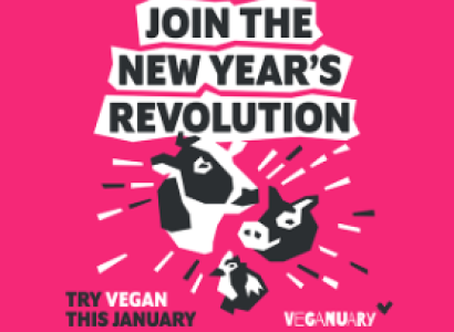 Cows and words Join the New Year's Revolution