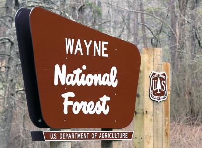 Brown sign on pole in woods saying Wayne National Forest