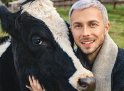 A man with white hair and goatee standing outside petting a black cow who has a white stripe up her nose and the word Mercy below