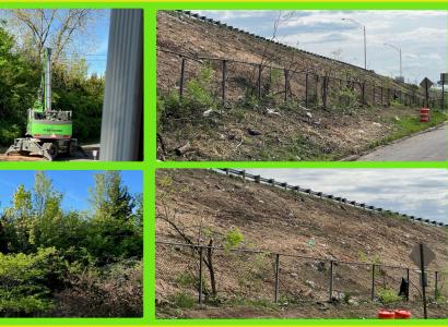 Photos of trees land and then without trees