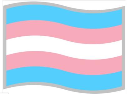 Transgender flag