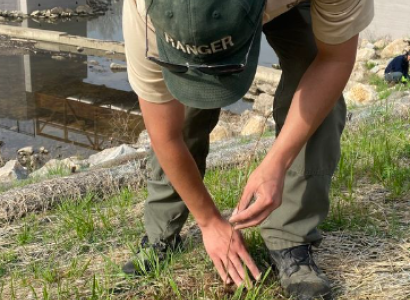 Man planting tree
