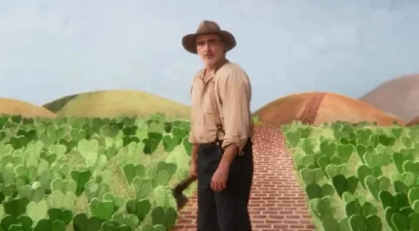 Man standing in a field