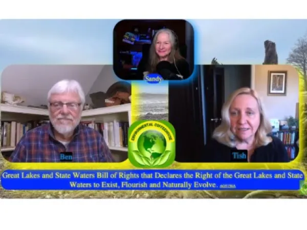 People in an online meeting