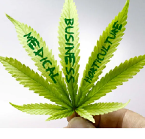Marijuana leaf with words on the leaves saying Medical Business and Horticulture