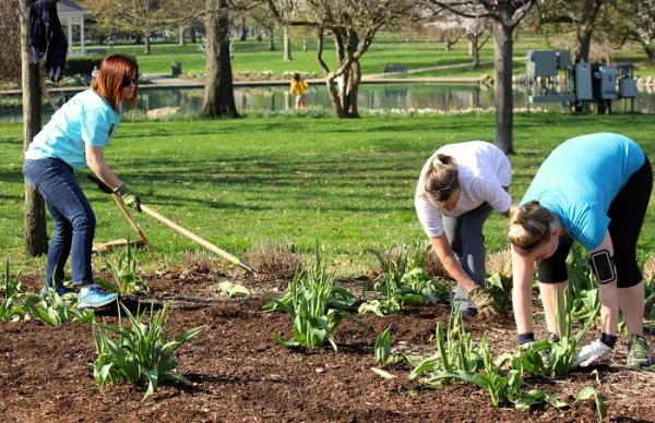 People in a garden planting