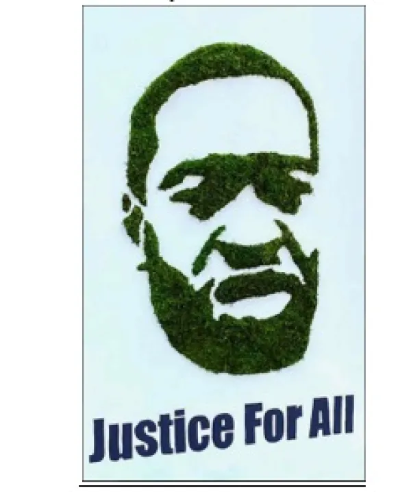 George Floyds's face