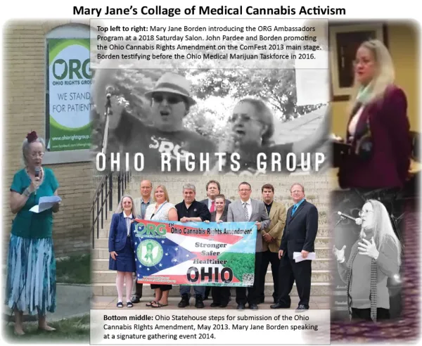 Collage of pictures from Mary Jane's activism