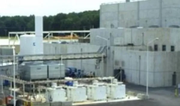 White building looking like a plant