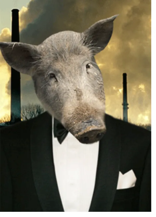 Pig in a tux