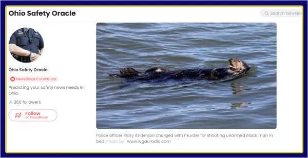 Otter floating on its back