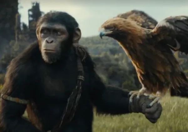 Ape with a hawk on his hand