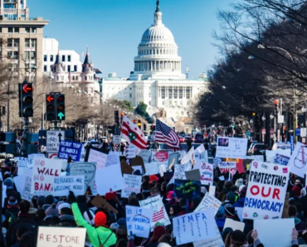 Protestors at the Capitol