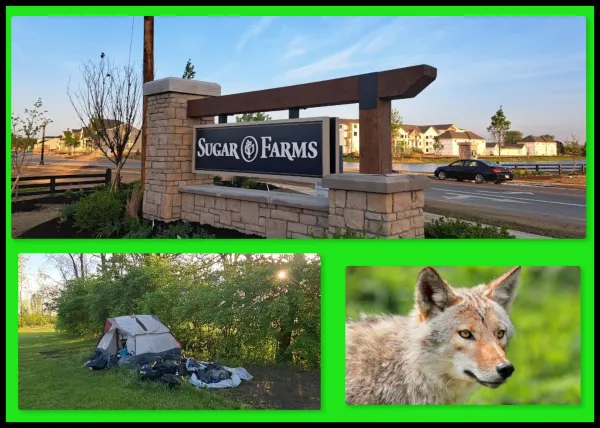 Sugar Farms sign and building