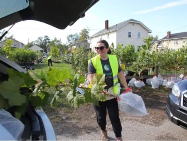 Woman putting tree in car trunk