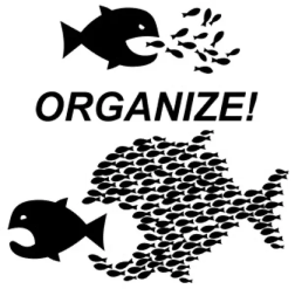 Lots of little fish chasing big fish